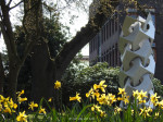 Sculptuur | Rinus Roelofs